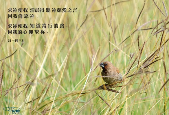 困難_我倚靠祢我的心仰望祢