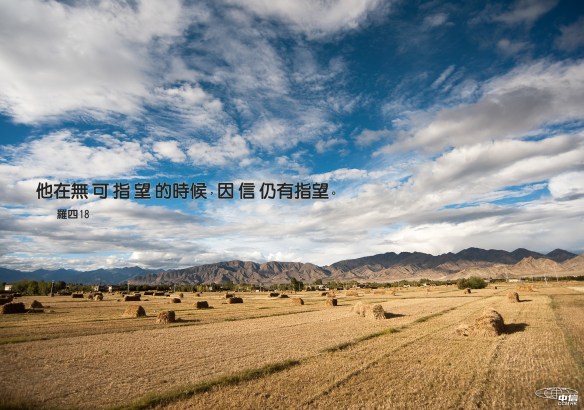 安慰_因信有指望