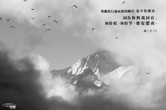 安慰_祢的杖祢的竿都安慰我