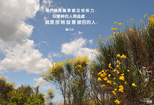 盼望_萬事都互相效力