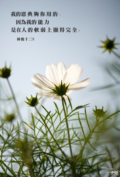 鼓勵_我的恩典夠你用