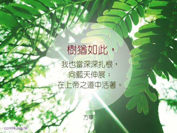 ccmFB_CT670_20180207