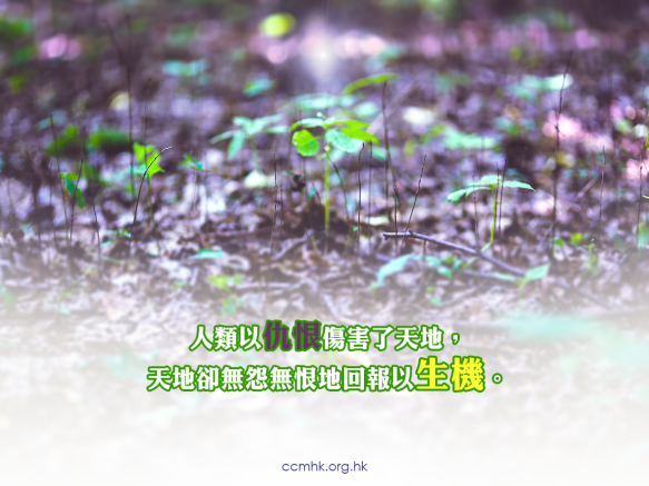 ccmFB_CT669_20180301