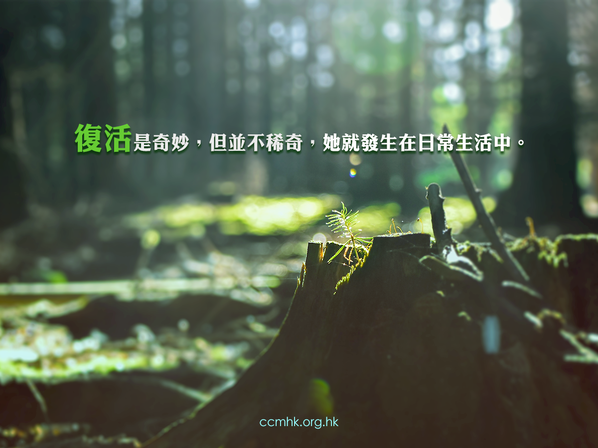 ccmFB_CT672_20180327