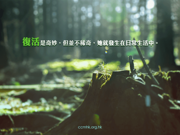 ccmFB_CT672_20180327