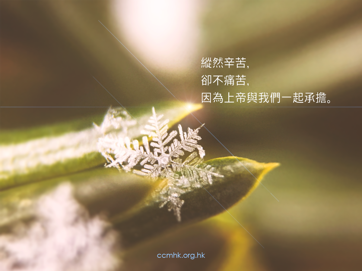 ccmFB_CT673_20180511