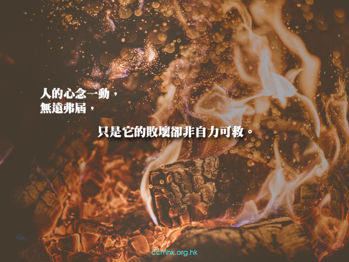 ccmFB_CT675_20180806