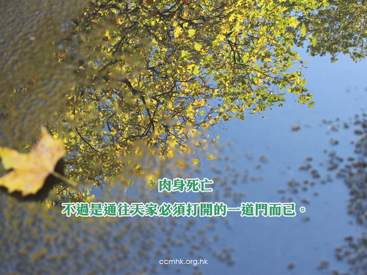 ccmFB_CT676_20180829