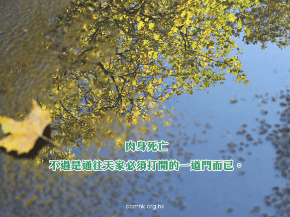 ccmFB_CT676_20180829