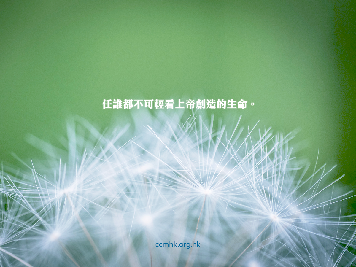 ccmFB_CT676_20180911