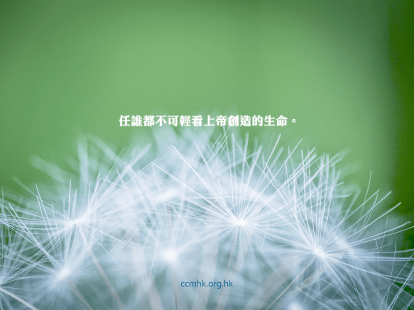 ccmFB_CT676_20180911