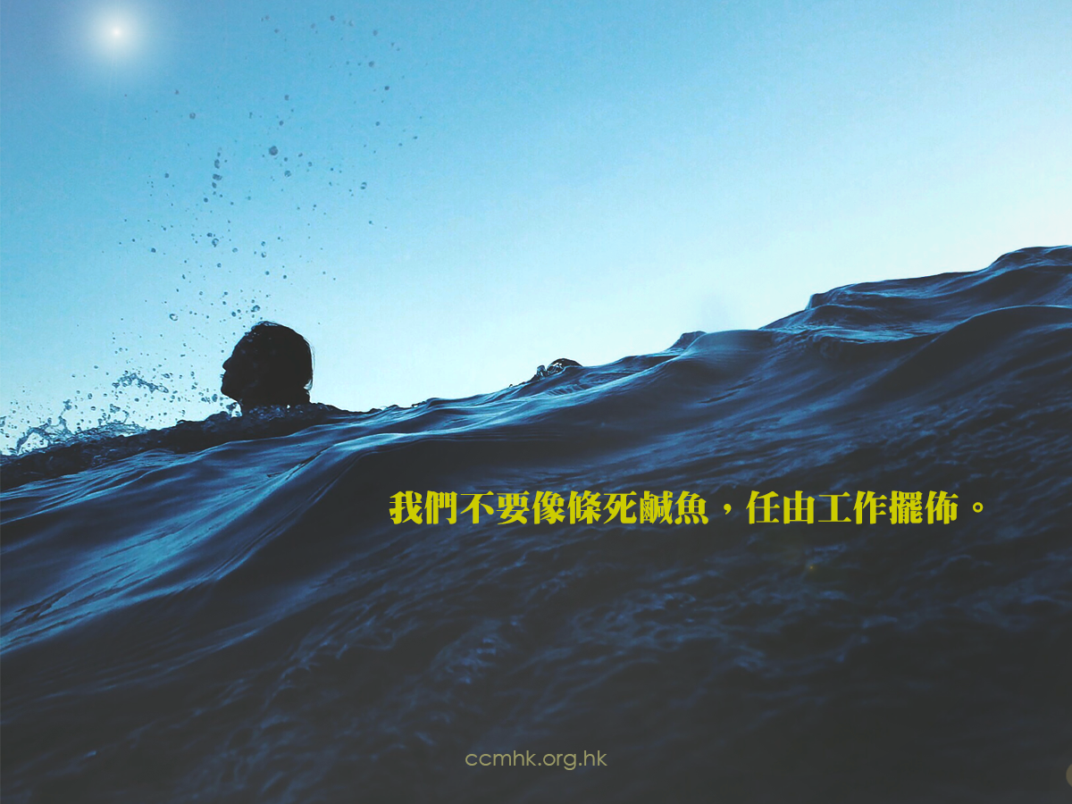 ccmFB_CT682_20190319