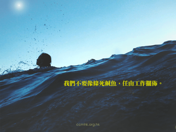 ccmFB_CT682_20190319