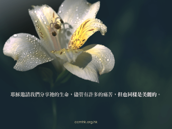 ccmFB_CT672_20190417