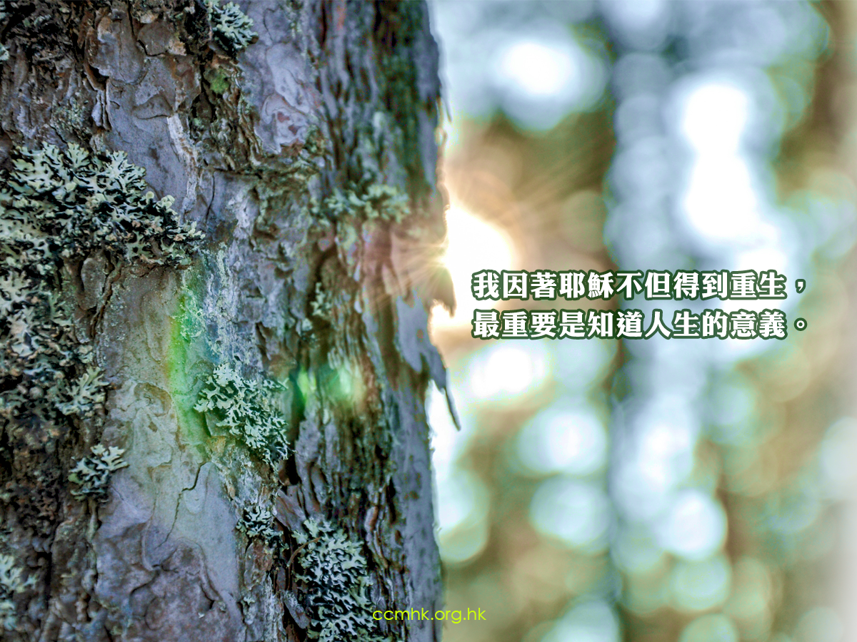 ccmFB_CT681_20190426