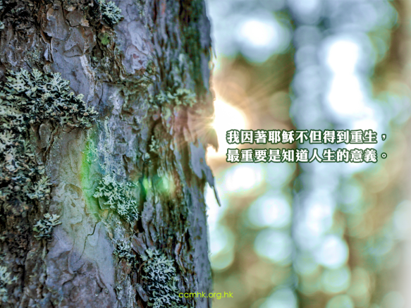 ccmFB_CT681_20190426