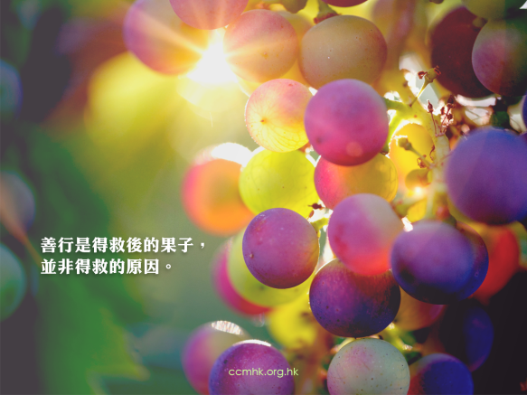 ccmFB_CT682_20190510