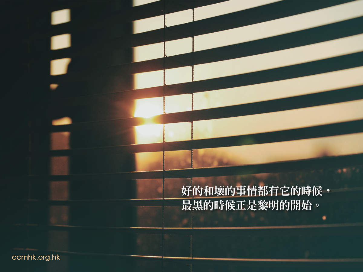 ccmFB_CT684_20190507