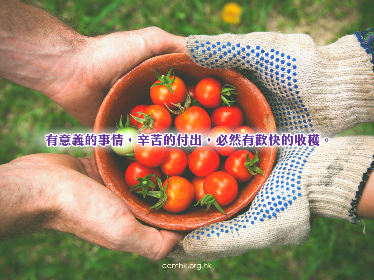 ccmFB_CT685_20190521