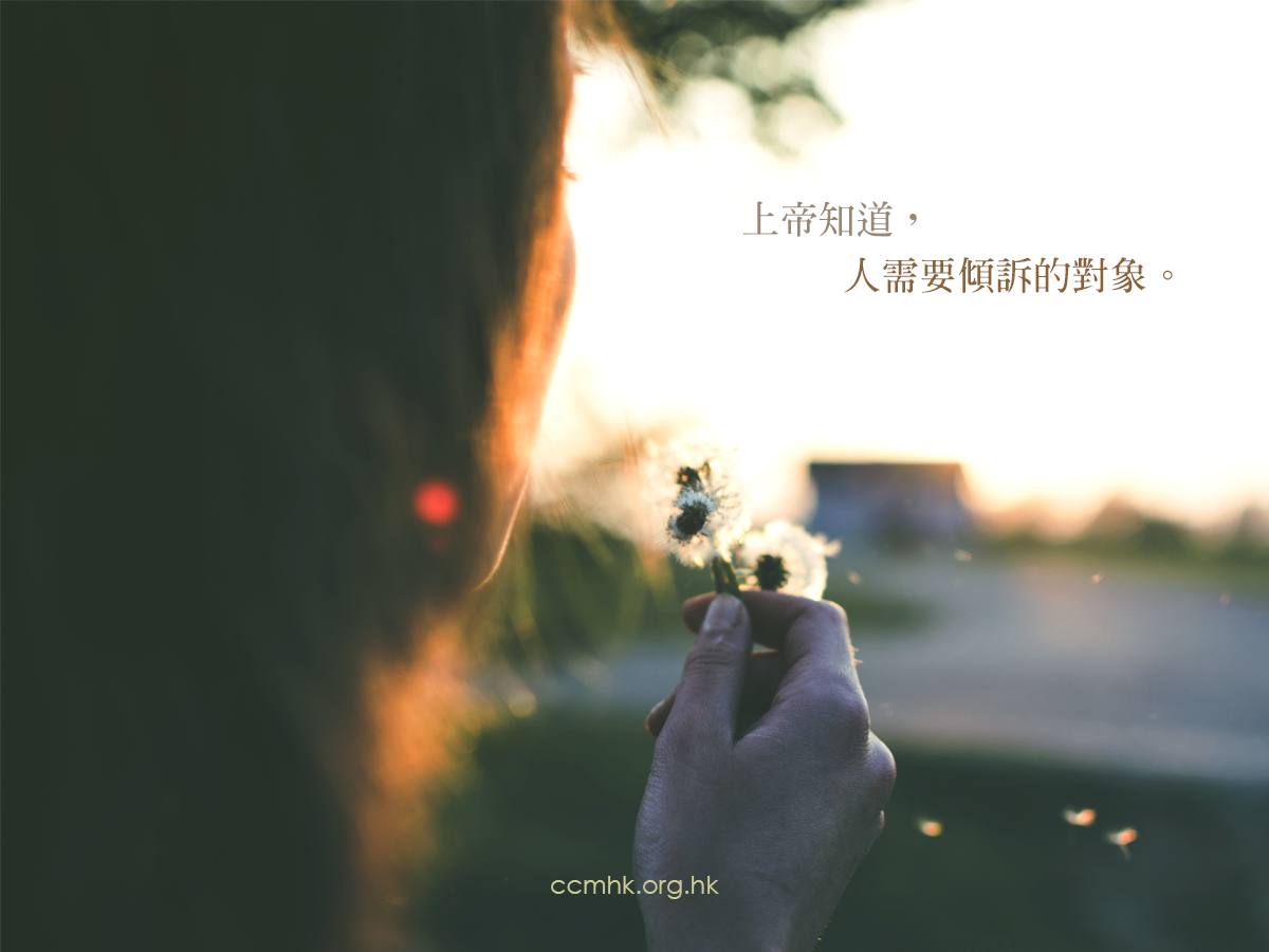 ccmFB_CT689_20190822