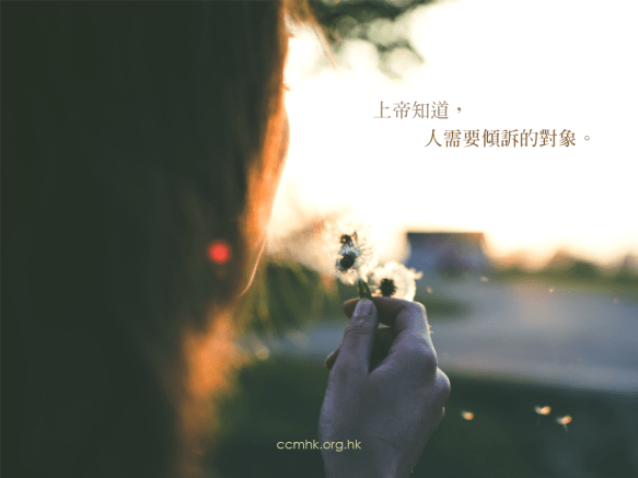 ccmFB_CT689_20190822