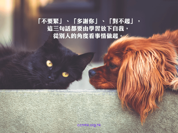 ccmFB_CT687_20190909