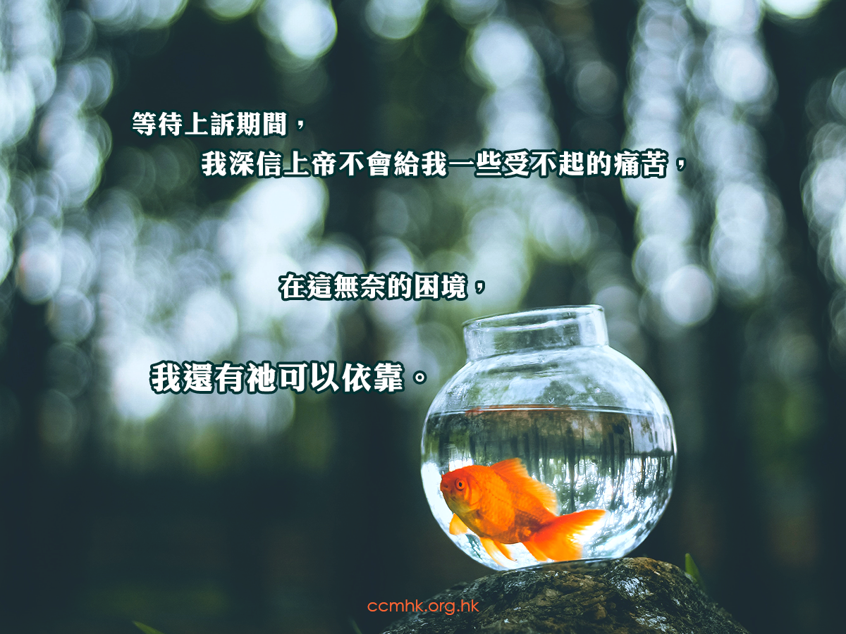 ccmFB_CT678_20200115